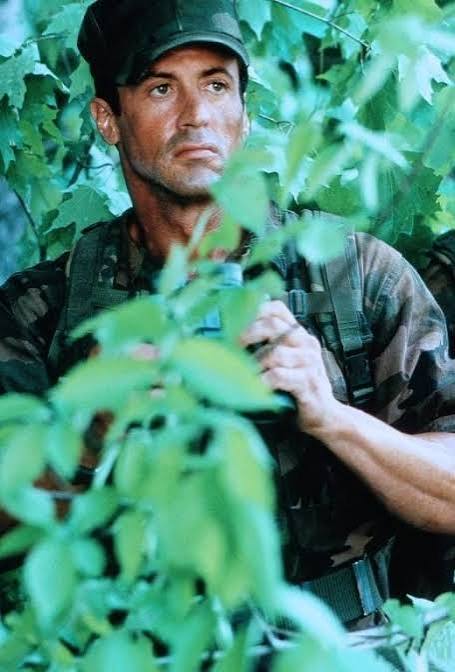 The Specialist (1994) : r/underratedmovies