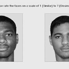 The cognitive gating mechanism (CGM).