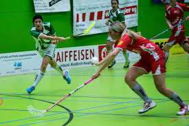 Two cantons show the swiss cross, for schwyz on solid red, and for neuchâtel in the corner of the revolutionary tricolour Damen Nlb Uhc Wasa Red Lions Frauenfeld Uhc Waldkirch St Gallen