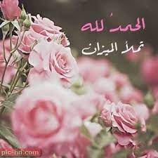 صور حلوه للبنات صور جميلة جدا مناسبة للبنات plants flowers rose