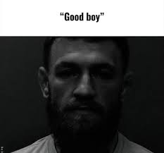 I can't take it anymore 💀