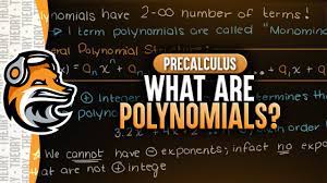What Are Polynomials? - YouTube