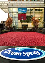 Ocean Spray On Twitter Oceanspray Boston Are Redy To Celebrate The Final Cranberryharvest Of The Season Pruboston Stop By From 8am 4pm Today Tomorrow Https T Co Ygqzdok0mg