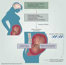 Последние твиты от tg transformation (@captionstg). Does Maternal Mental Well Being In Pregnancy Impact The Early Human Epigenome Epigenomics