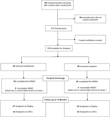 Neurodevelopmental Outcomes Of Neonates Randomized To Morphine Or Methadone For Treatment Of Neonatal Abstinence Syndrome The Journal Of Pediatrics