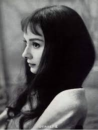 Audrey Hepburn Audrey Hepburn Hair Audrey Hepburn Photos Audrey Hepburn