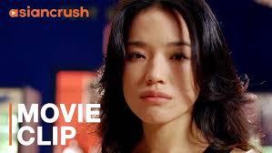 donnie yen demonstration in mismatched couples