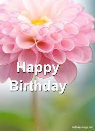 Check spelling or type a new query. Happy Birthday Pinterest Free Happy Birthday Cards Happy Birthday Flower Happy Birthday Pictures
