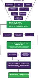 Now, as a patron of bowel cancer uk, ben is encouraging everyone to speak out and not to disregard the signs. Critical Research Gaps And Recommendations To Inform Research Prioritisation For More Effective Prevention And Improved Outcomes In Colorectal Cancer Gut