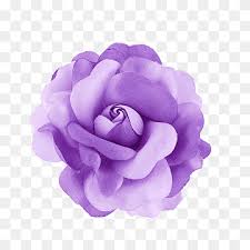 images?q=tbn:ANd9GcTFFC_1_IBo3HyO9MkGTfr