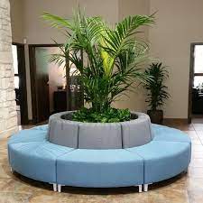 Interior Gardens Austin Austin S Premier Plant Interiorscaping Professionals Commercial Greenhouse Unique Plants Interior Garden