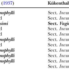 Image result for Cyperus mapanioides