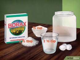 Maybe you would like to learn more about one of these? The Best Ways To Kill Ants Using Borax Wikihow