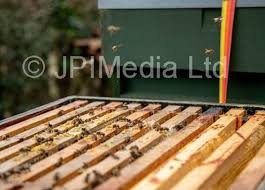 39397610-Weekend Cover story