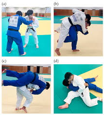 Benefits of Judo Training for Brain Functions Related to Physical and  Cognitive Performance in Older Adults