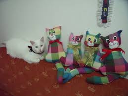 losev e potikare cinsi kediler orgu toys kedi