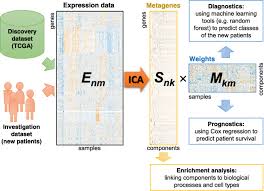 We did not find results for: Deconvolution Of Transcriptomes And Mirnomes By Independent Component Analysis Provides Insights Into Biological Processes And Clinical Outcomes Of Melanoma Patients Bmc Medical Genomics Full Text