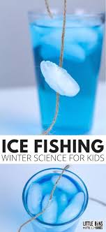 Ice Fishing Winter Science Experiment Winter Science Projects Winter Science Experiments Science Experiments For Preschoolers