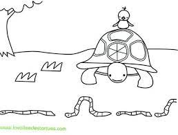 coloriage dune tortue dans la foret avec un petit oiseau sur carapace dessin original pour faire decouvrir animaux z coloriages gratuits