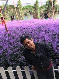 Saje je nak rase tempat org. Trip Cameron Highlands Lokasi Kena Singgah Makanan Perlu Cuba Libur