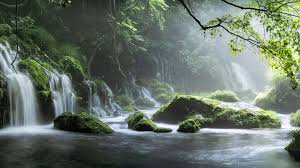 Amazing 8k wallpapers and images collection in 7680x4320 resolution. 1920x1080 Spring Waterfall Stone Fog Mist Green Forest 8k Laptop Full Hd 1080p Hd 4k Wallpapers Images Backgrounds Photos And Pictures