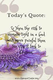 25 Of The Best Flower Inspired Quotes Ever Bloom Virtuoso Flower Quotes Flower Quotes Inspirational Inspirational Quotes
