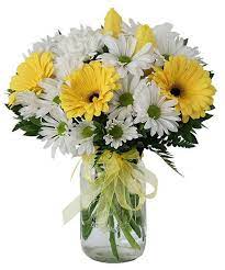 Mason Meadow Yellow Flower Arrangements Daisy Flower Arrangements White Flower Arrangements