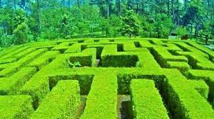 Untuk masuk ke area taman labirin ini, kamu diharuskan membayar tiket lagi nanti, karena memang terpisah dengan tiket masuk kawasan air daftar tips travel. Tiket Masuk Taman Labirin Coban Rondo April 2021 Momokiro
