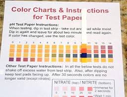 Litmus Paper Cvs Friendsinny Co