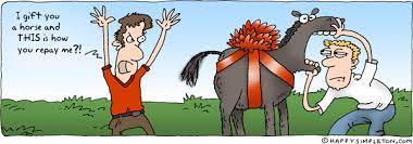 They say you should never look a gift horse in the mouth, but you should definitely have your vet take a look. Horse Idioms What They Mean And How To Use Them Cae Exam Tips