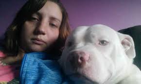 11 still available 3 male's and 8 females message for more info.