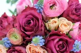 Our gorgeous summer collection is here to brighten their day. Valentines Same Day Delivery Flowers For Every Rainbow Colour