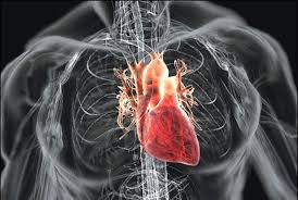 Not all heart problems come with clear warning signs. How To Perform Open Heart Surgery Extreme How To