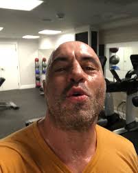 Joe Rogan