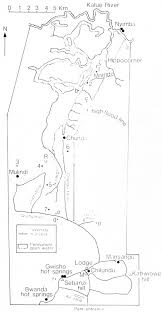 Image result for Rhamphicarpa brevipedicellata