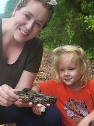 Helping a small animal cross the street safely