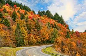 Tripadvisor has 2,930,302 reviews of tennessee hotels, attractions, and restaurants making it your best tennessee resource. State Of Tennessee Linkedin