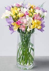 Freesias Arrangement Freesia Flowers Beautiful Flower Arrangements Pretty Flowers
