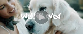 Amazon.com : Well Loved Calming Chews for Dogs