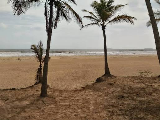 Arossim Beach & Salt Marshes, South Goa