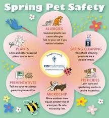 Find pet care, book and pay, and get updates through the app. 55 Tarheel Total Pet Care Ideas Pet Care Pets Dogs