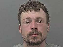 Locked up this year so far: Evil rapist and deceitful community champion  among those jailed