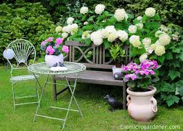 How to care for hydrangea. How To Grow Hydrangeas The Micro Gardener