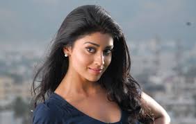 Image result for yami gautam in action jackson blue saree