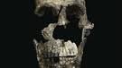 Skull features of homo naledi and other early human species. Menschenart Aus Sudafrika Homo Naledi Junger Als Gedacht Br Wissen