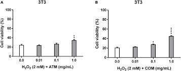 Image result for Menisorus pauciflorus
