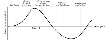 Negative Feedback Human Physiology Diagram Negative