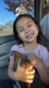 Fowl pox treatment and management advice needed