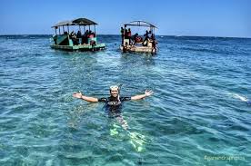 Koleksi oleh inayat hanum • terakhir diperbarui 3 minggu lalu. Taman Laut Di Pantai Olele Indahnya Kebangetan