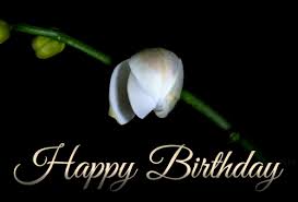 Designer Happy Birthday Gifs To Send To Friends